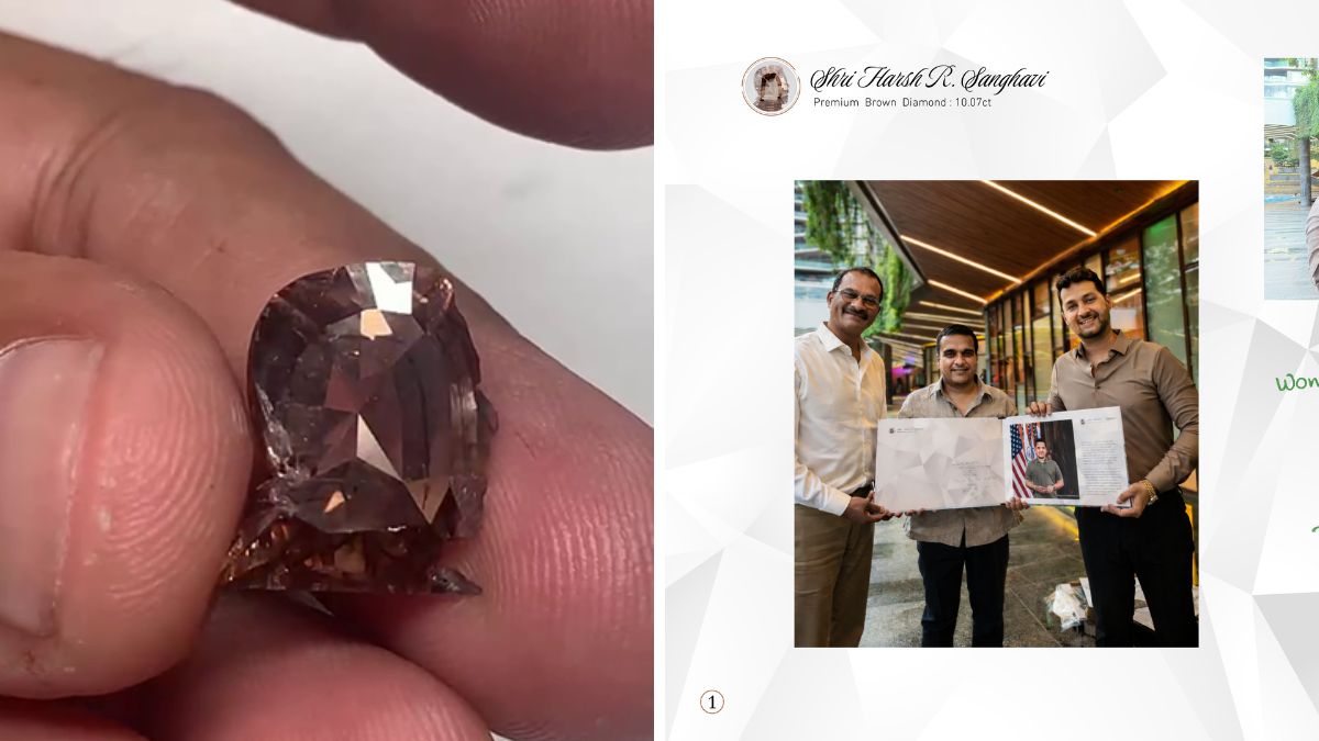 ‘Diamond of the State’: Surat Artists Turn Harsh Sanghavi into a Rare Gem Masterpiece Harsh Sanghvi diamond portrait Surat, the blunt times