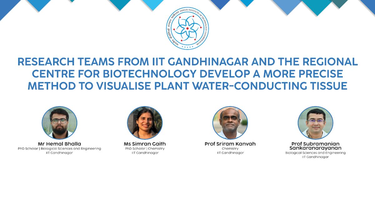 IIT Gandhinagar xylem imaging, the blunt times