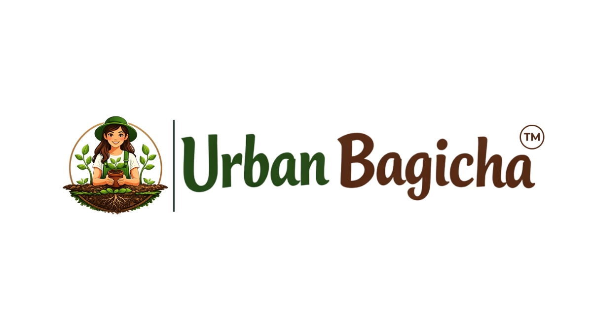 Urban Bagicha