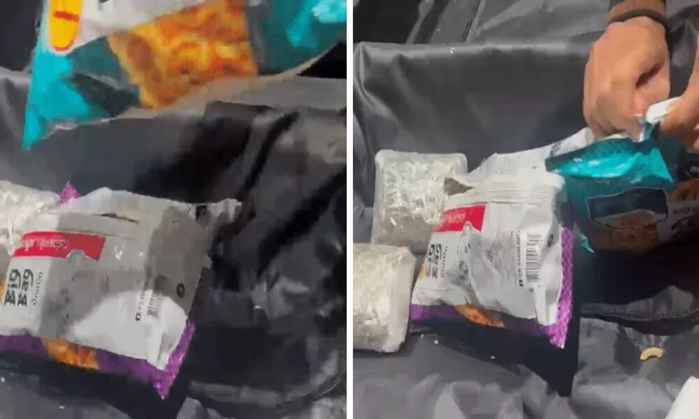 Ahmedabad airport hydroponic ganja seizure, the blunt times