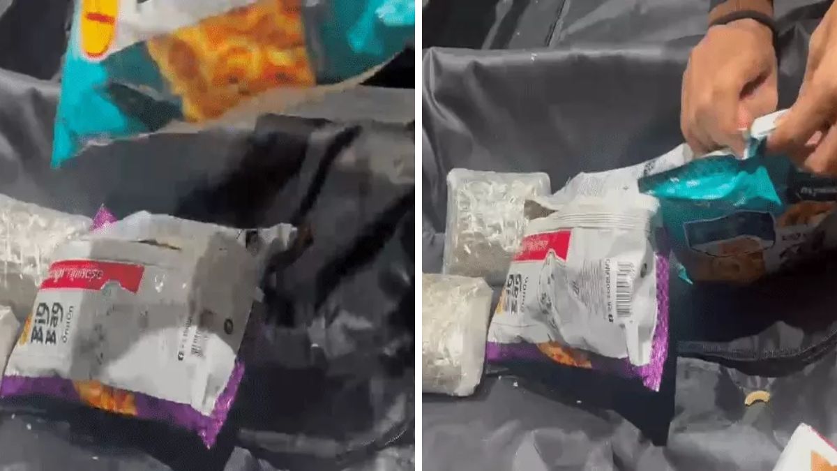 Rs.4 Crore Hydroponic Ganja Seized at Ahmedabad Airport, Passenger Arrested Ahmedabad airport hydroponic ganja seizure, the blunt times
