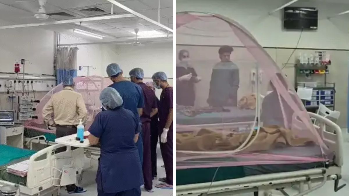 Chandipura virus Gujarat, the blunt times