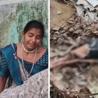 Girnar lion attack 12-year-old boy, the blunt times