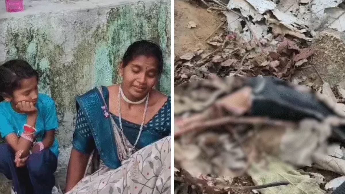 Girnar lion attack 12-year-old boy, the blunt times