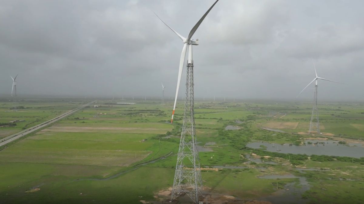 Gujarat Prevents 179 Million Tonnes of Carbon Emissions in Five Years Gujarat carbon emission reduction, the blunt times