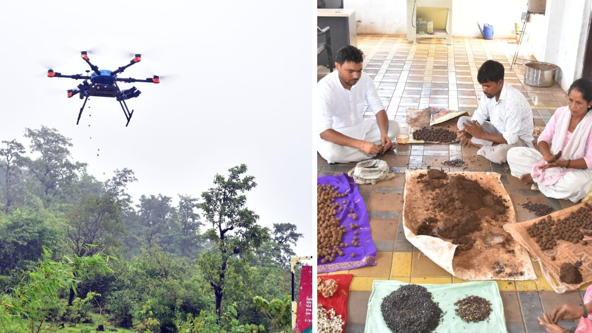 Gujarat Dharampur Drone seed ball campaign, the blunt times