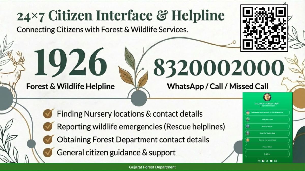 Gujarat Forest Department helpline, the blunt times