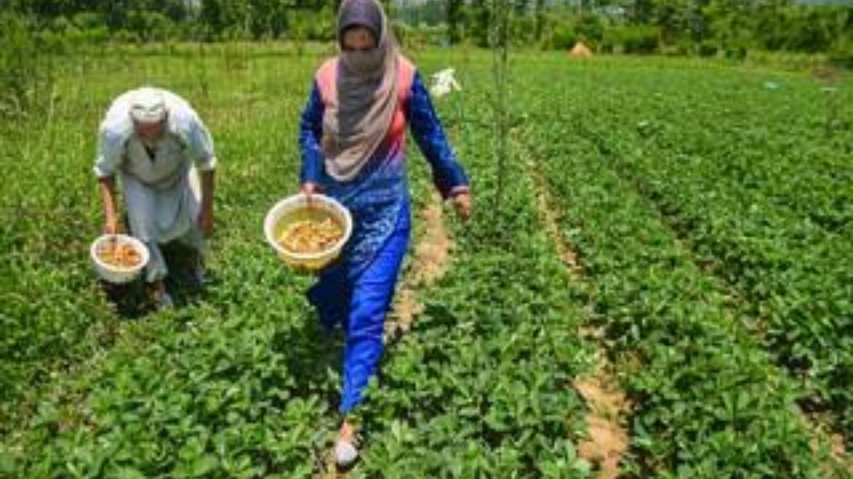 Gujarat Agriculture Leadership Award 2026, the blunt times