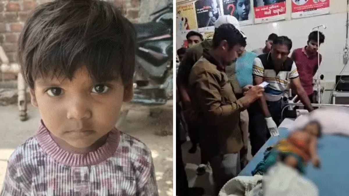 Leopard kills 4-year-old girl in Chhota Udepur, captured Chhota Udepur leopard attack, the blunt times