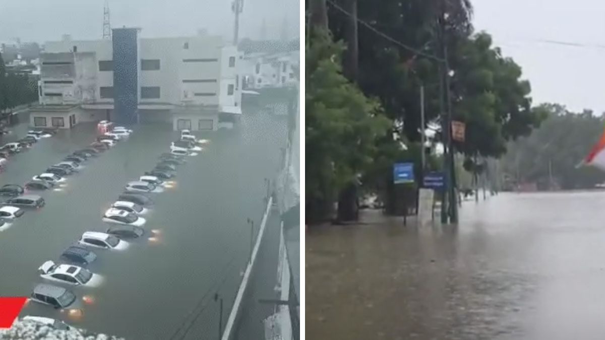 South Gujarat Flood Crisis: 43 Inches Rain Batters Umargam South Gujarat flood crisis, the blunt times