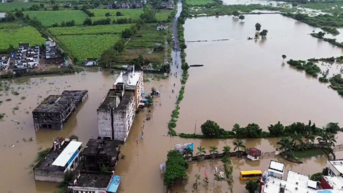 Expert Calls for Modern Slaughterhouses in Surat to Curb Floods and Pollution Surat modern slaughterhouses, the blunt times