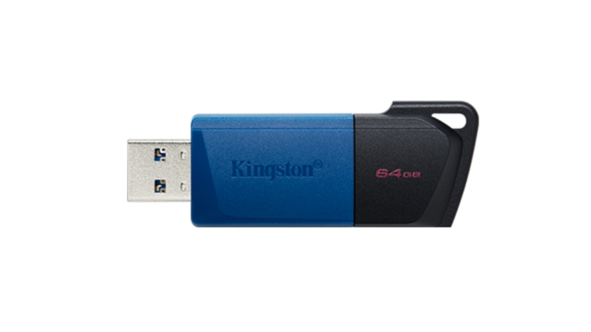 This Raksha Bandhan, Gift Your Sibling More Space for What They Love with Kingston Technology-TBT