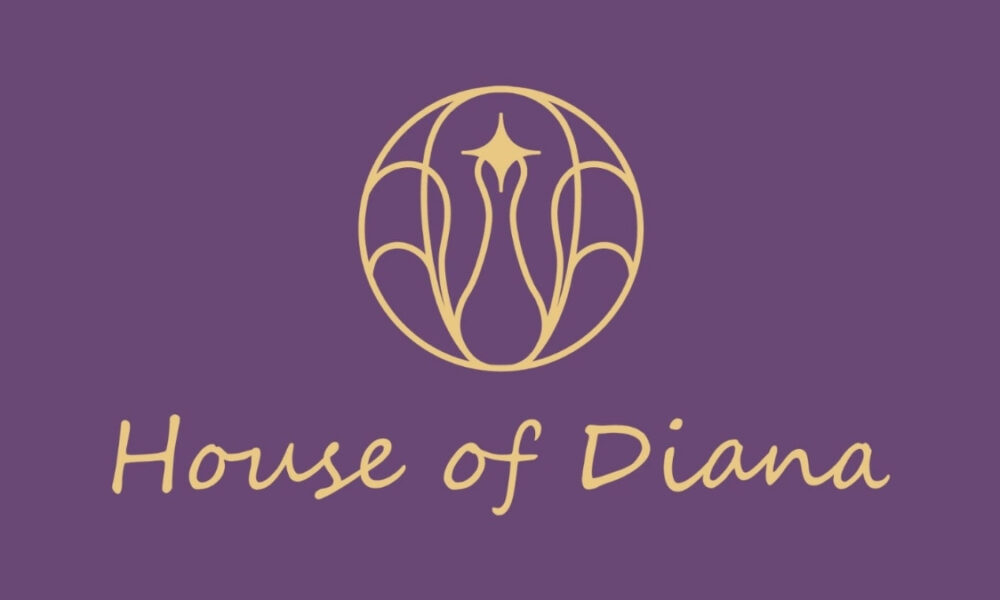India's Silver Jewellery Market Is Changing: How House of Diana Is Building a New D2C Identity