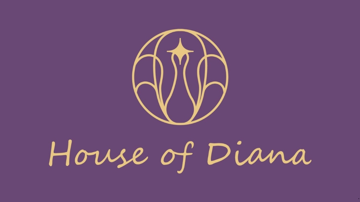 India's Silver Jewellery Market Is Changing: How House of Diana Is Building a New D2C Identity