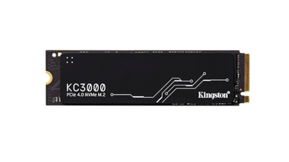 This Raksha Bandhan, Gift Your Sibling More Space for What They Love with Kingston Technology-TBT