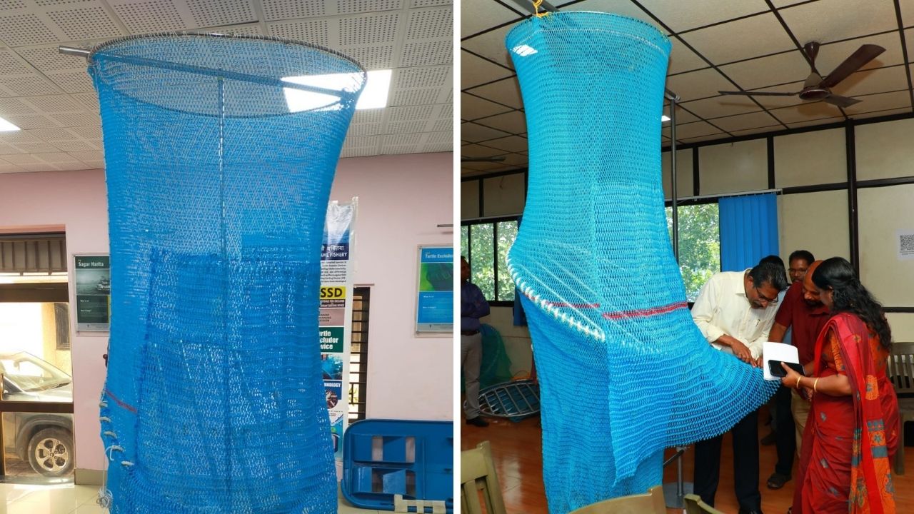 Gujarat Fishermen to Use Turtle-Saving TEDs for First Time Gujarat Turtle Excluder Devices, the blunt times