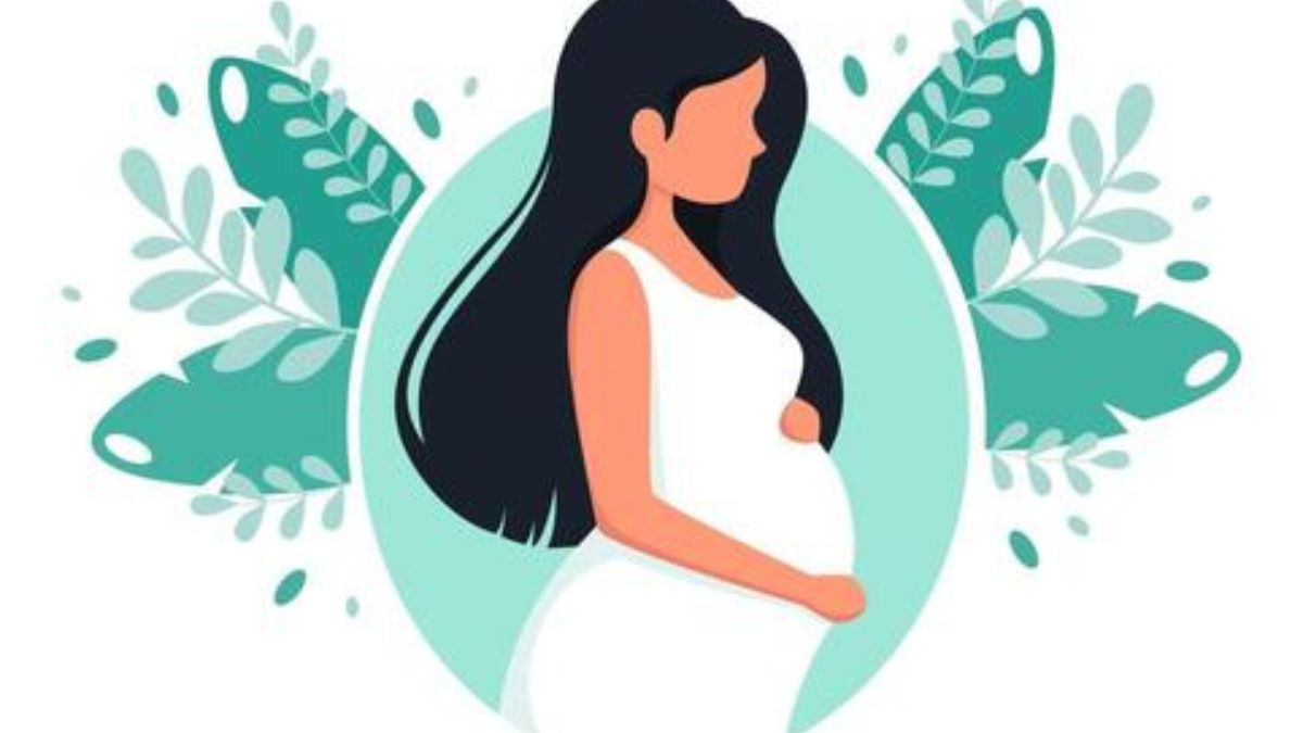 Gujarat : Mehsana Records 131 Pregnant Minors in Four Months, Probe Launched Mehsana pregnant minors Gujarat, the blunt times