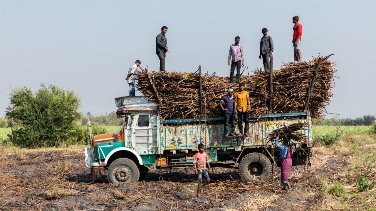 South Gujarat sugarcane production decrease, the blunt times