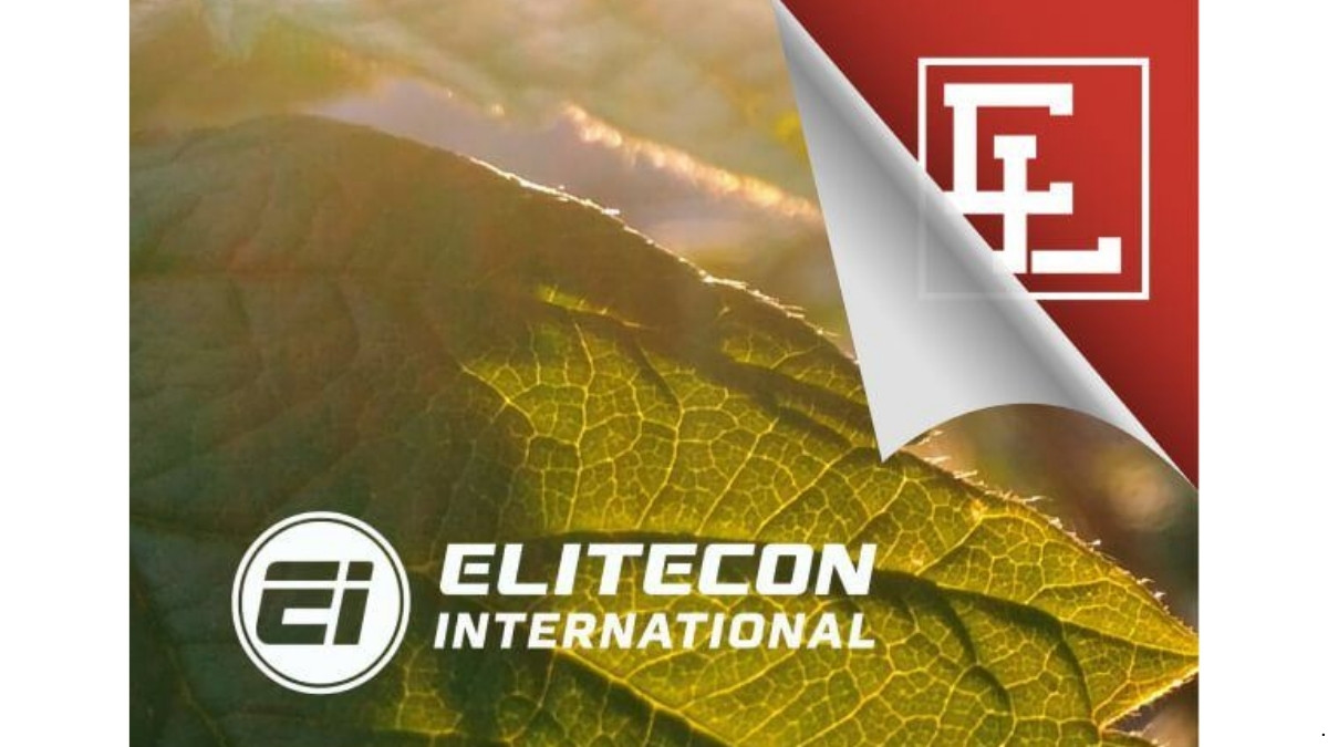 Elitecon International Shares Hit 5% Upper Circuit Amid Market Recovery