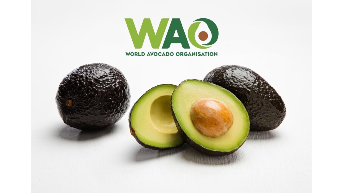 World Avocado Organisation