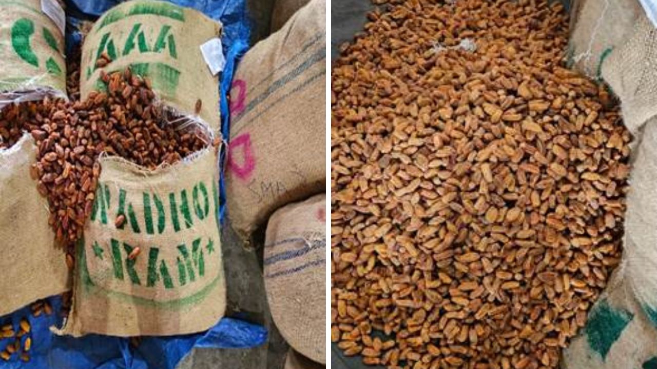 DRI seizes Pakistan-origin dry dates, the blunt times