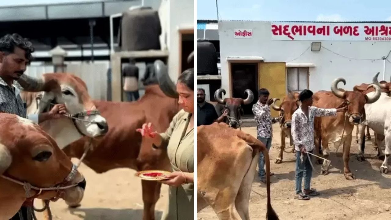 Gujarat drought declaration, the blunt times