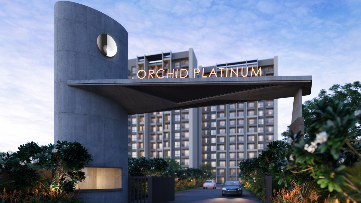 Orchid