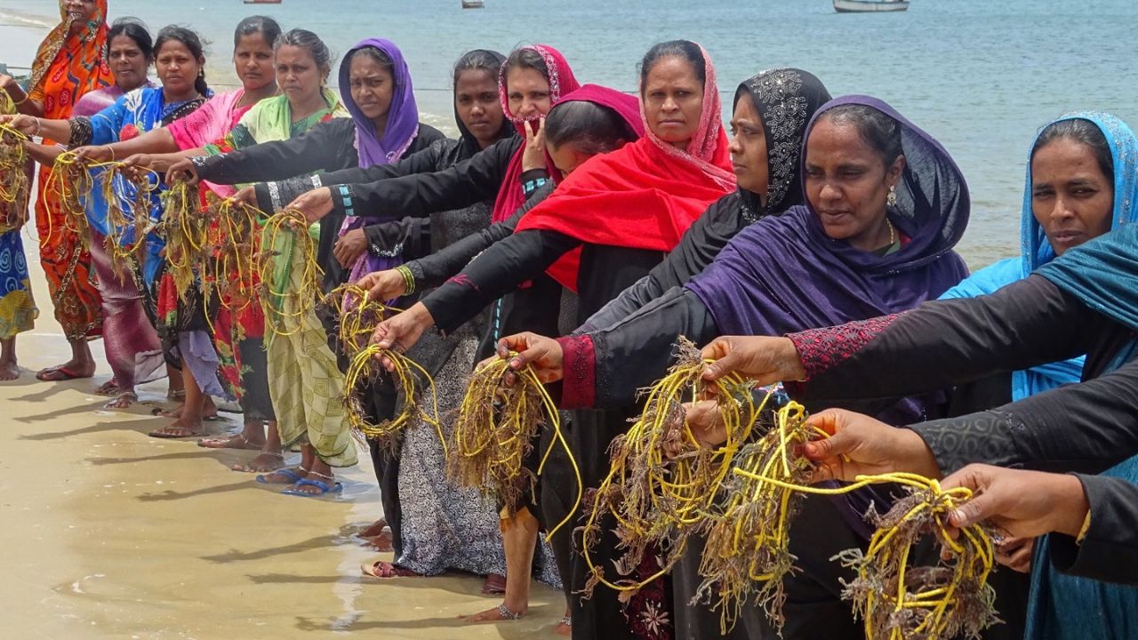 Gujarat Plans ₹100-Cr Marine Biotech Corridor in Porbandar Gujarat marine biotechnology corridor, the blunt times