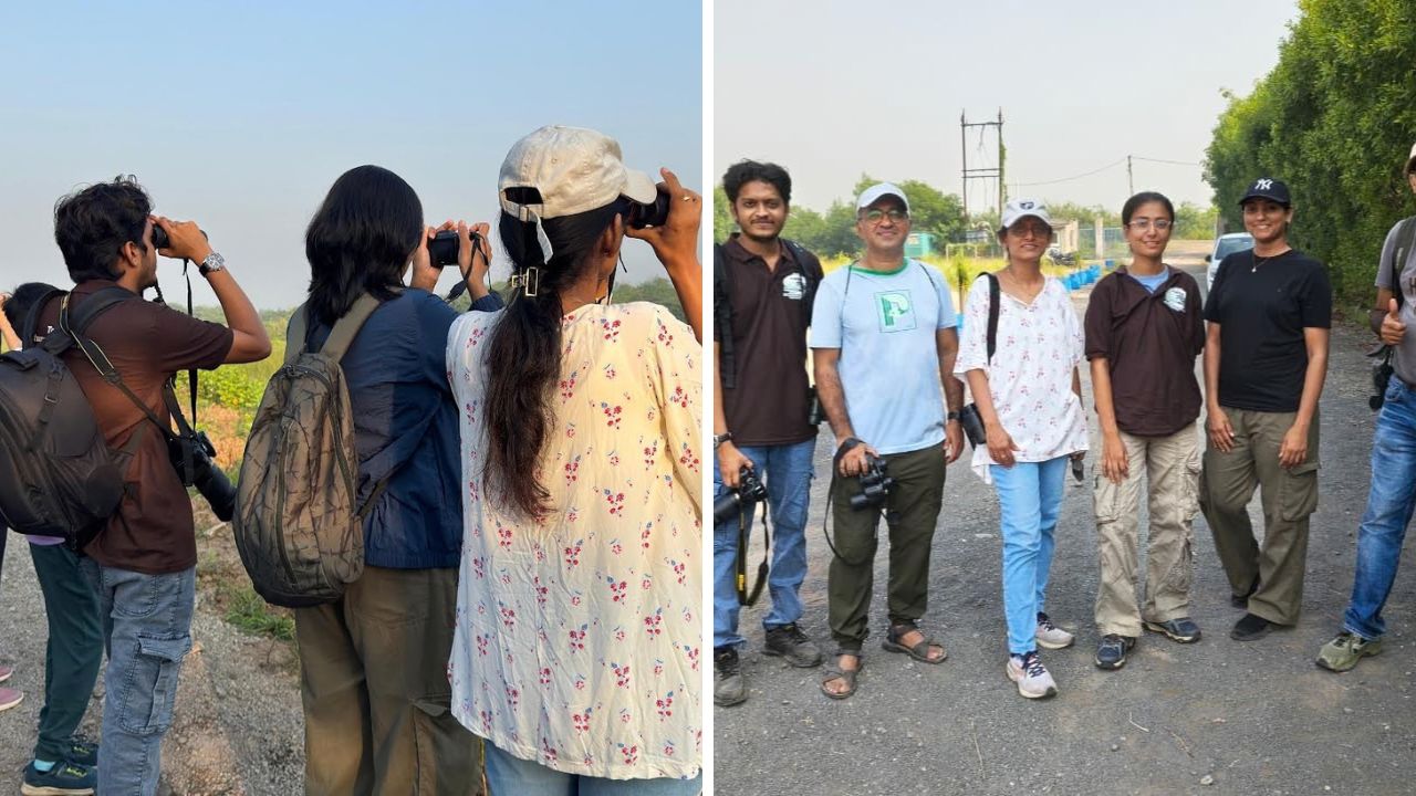 Surat bird watching expedition, the blunt times
